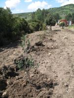 19-Aprile-09 (106).html